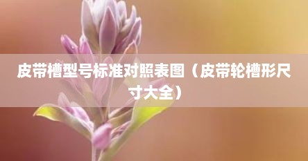 皮带槽型号标准对照表图（皮带轮槽形尺寸大全）