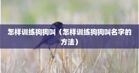 怎样训练狗狗叫（怎样训练狗狗叫名字的方法）