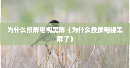为什么投屏电视黑屏（为什么投屏电视黑屏了）