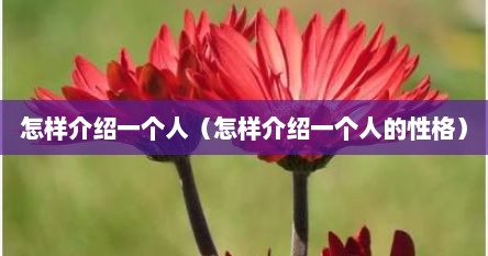 怎么样介绍一个人的特点（如何介绍一个人）