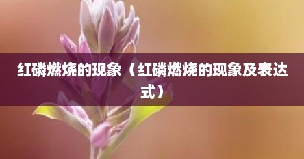 红磷燃烧的现象（红磷燃烧的现象及表达式）