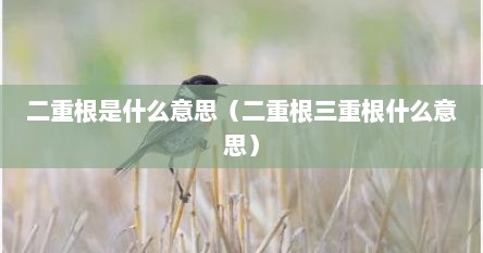 二重根是什么意思（二重根三重根什么意思）