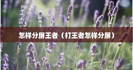 怎样分屏王者（打王者怎样分屏）