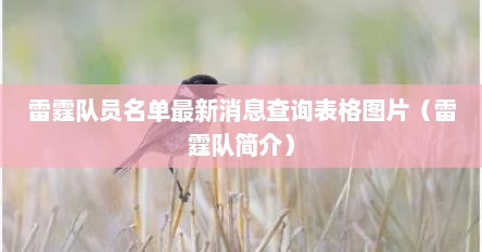 雷霆队员名单最新消息查询表格图片（雷霆队简介）