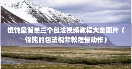 馄饨最简单三个包法视频教程大全图片（馄饨的包法视频教程慢动作）