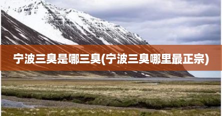 宁波三臭是哪三臭(宁波三臭哪里最正宗)