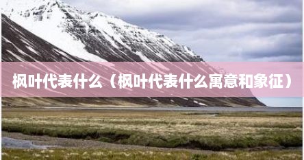 枫叶代表什么（枫叶代表什么寓意和象征）