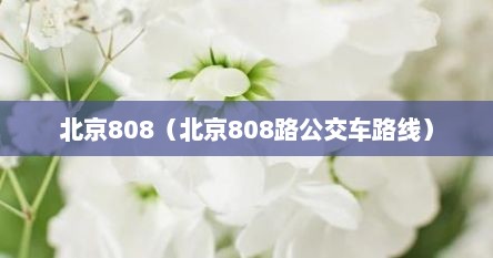 北京808（北京808路公交车路线）