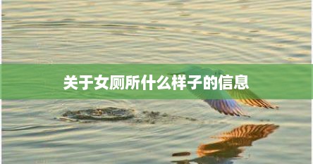 关于女厕所什么样子的信息