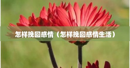 怎样挽回感情（怎样挽回感情生活）