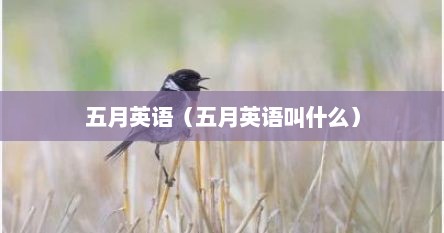 五月英语（五月英语叫什么）