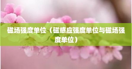 磁场强度单位（磁感应强度单位与磁场强度单位）