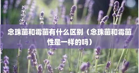念珠菌和酵母菌有什么区别（念珠菌和真菌的区别）