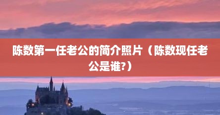 陈数第一任老公的简介照片（陈数现任老公是谁?）