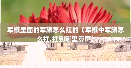 军棋里面的军旗怎么扛的（军棋中军旗怎么扛,扛到哪里算赢）