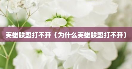 英雄联盟打不开（为什么英雄联盟打不开）