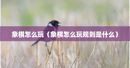 象棋怎么玩（象棋怎么玩规则是什么）