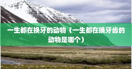 一生都在换牙的动物(一生都在换牙齿的动物是哪个) 一生都在换牙的动物(一生都在换牙齿的动物是哪个)