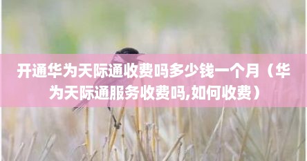 开通华为天际通收费吗多少钱一个月（华为天际通服务收费吗,如何收费）