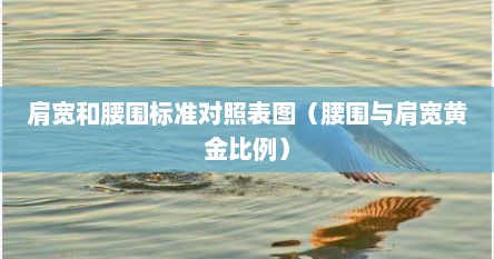 肩宽和腰围标准对照表图（腰围与肩宽黄金比例）