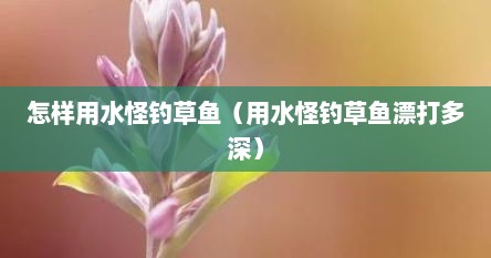怎样用水怪钓草鱼（用水怪钓草鱼漂打多深）
