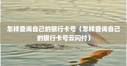 怎样查询自己的银行卡号（怎样查询自己的银行卡号云闪付）