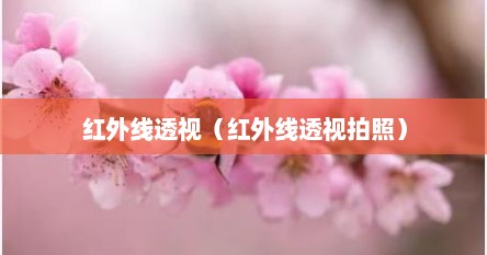 红外线透视（红外线透视拍照）