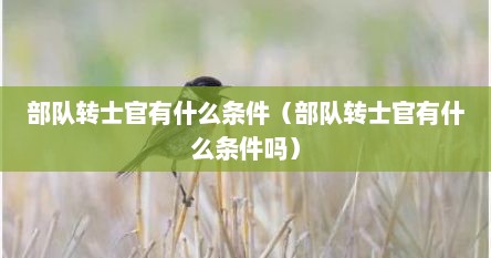 部队转士官有什么条件（部队转士官有什么条件吗）