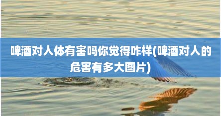 啤酒对人体有害吗你觉得咋样(啤酒对人的危害有多大图片)