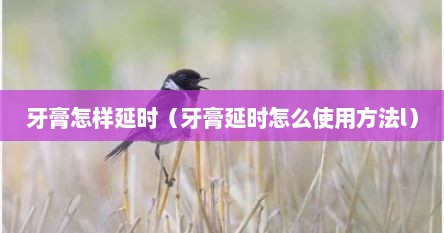 牙膏怎样延时（牙膏延时怎么使用方法l）