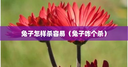 兔子怎样杀容易（兔子咋个杀）