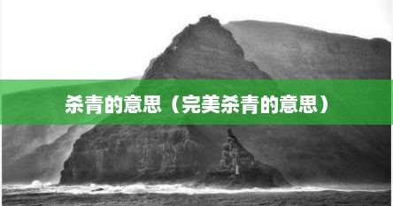 杀青的意思（完美杀青的意思）