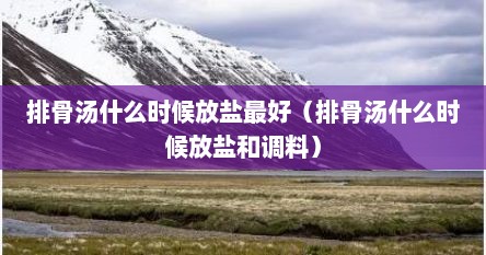 排骨汤什么时候放盐最好（排骨汤什么时候放盐和调料）