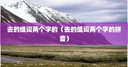 去的组词两个字的（去的组词两个字的拼音）