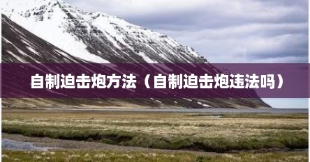 自制迫击炮方法（自制迫击炮违法吗）