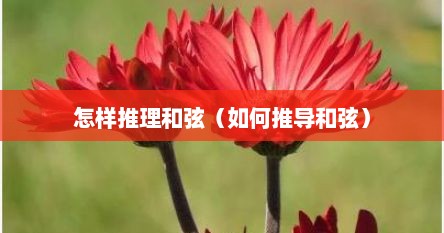 怎样推理和弦（如何推导和弦）