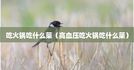 吃火锅吃什么菜（高血压吃火锅吃什么菜）