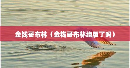 金钱哥布林（金钱哥布林绝版了吗）