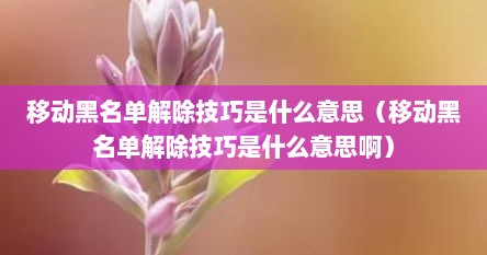 移动黑名单解除技巧是什么意思（移动黑名单解除技巧是什么意思啊）