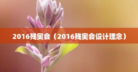 2016残奥会（2016残奥会设计理念）