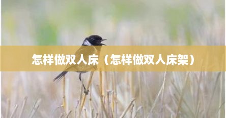 怎样做双人床（怎样做双人床架）