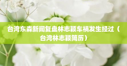 台湾东森新闻复盘林志颖车祸发生经过（台湾林志颖简历）