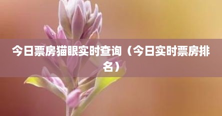 今日票房猫眼实时查询(今日实时票房排名)