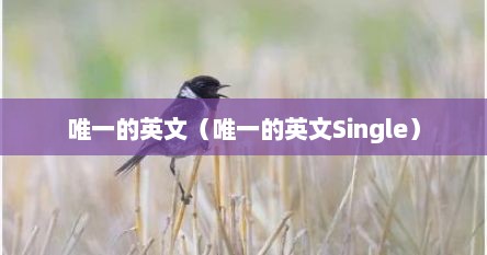 唯一的英文（唯一的英文Single）