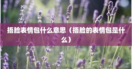 捂脸表情包什么意思（捂脸的表情包是什么）