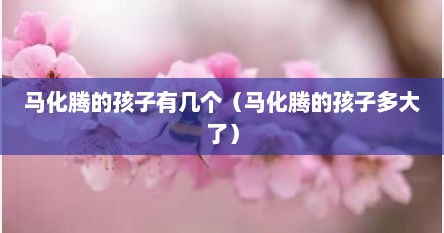 马化腾的孩子有几个（马化腾的孩子多大了）