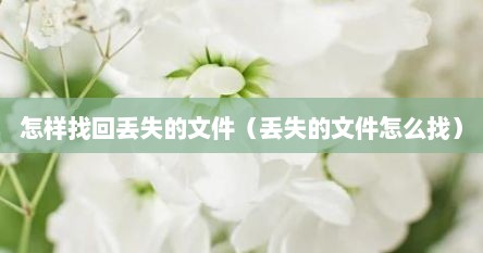 怎样找回丢失的文件（丢失的文件怎么找）