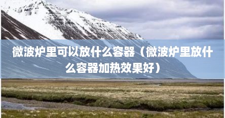 微波炉里可以放什么容器（微波炉里放什么容器加热效果好）
