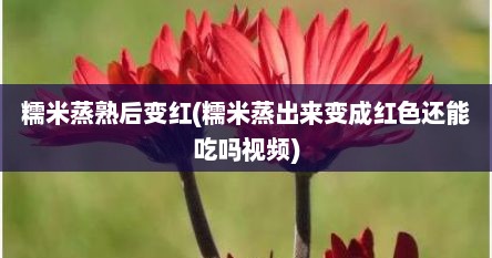 糯米蒸熟后变红(糯米蒸出来变成红色还能吃吗视频)