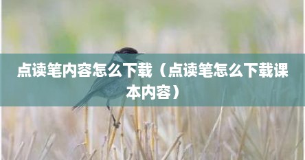 点读笔内容怎么下载（点读笔怎么下载课本内容）